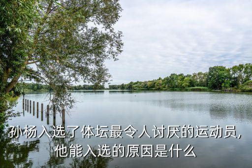 孫楊入選了體壇最令人討厭的運(yùn)動(dòng)員,他能入選的原因是什么