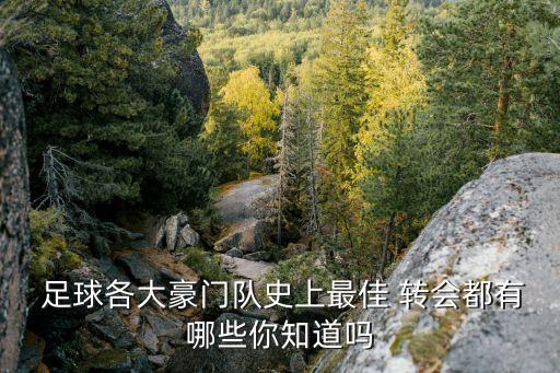  足球各大豪門(mén)隊(duì)史上最佳 轉(zhuǎn)會(huì)都有哪些你知道嗎