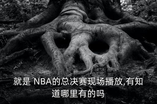 就是 NBA的總決賽現(xiàn)場(chǎng)播放,有知道哪里有的嗎