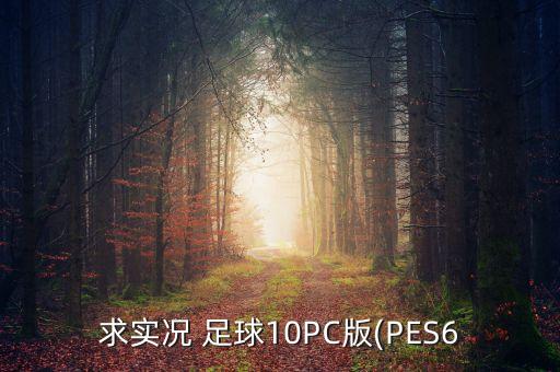 求實況 足球10PC版(PES6