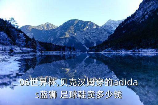 06世界杯,貝克漢姆穿的adidas藍(lán)獅 足球鞋賣多少錢