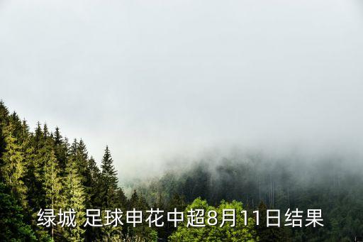 綠城 足球申花中超8月11日結(jié)果