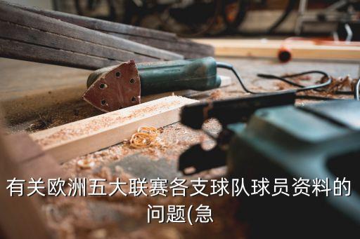 有關(guān)歐洲五大聯(lián)賽各支球隊(duì)球員資料的問(wèn)題(急