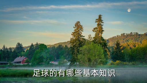 足球菜鳥了解足球,不懂足球怎么了解足球
