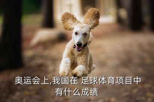  奧運(yùn)會(huì)上,我國(guó)在 足球體育項(xiàng)目中有什么成績(jī)
