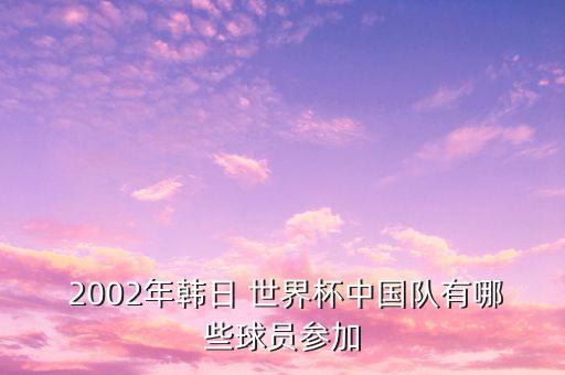  2002年韓日 世界杯中國隊有哪些球員參加