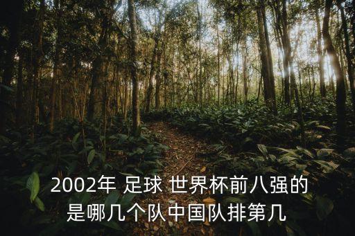  2002年 足球 世界杯前八強的是哪幾個隊中國隊排第幾