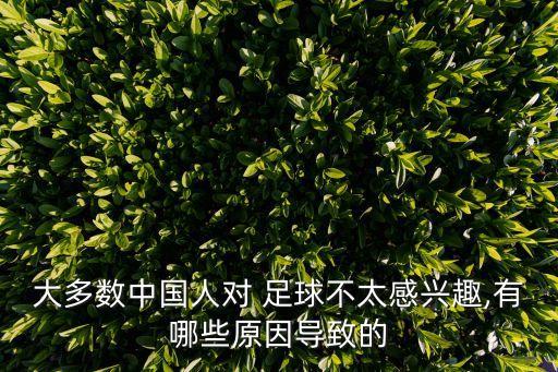 大多數(shù)中國人對(duì) 足球不太感興趣,有哪些原因?qū)е碌? class=