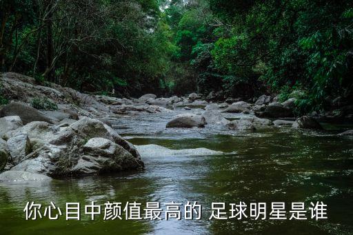 足球法國(guó)男模圖片,法國(guó)足球姆巴佩圖片