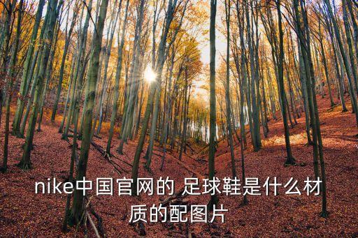 nike中國官網的 足球鞋是什么材質的配圖片