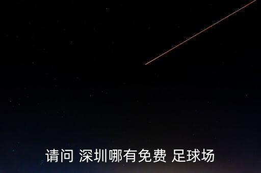 深圳布吉高級中學足球