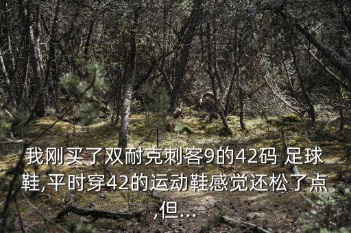 我剛買了雙耐克刺客9的42碼 足球鞋,平時穿42的運動鞋感覺還松了點,但...