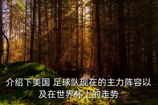 介紹下美國 足球隊現(xiàn)在的主力陣容以及在世界杯上的走勢