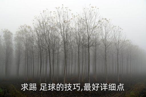 求踢 足球的技巧,最好詳細點