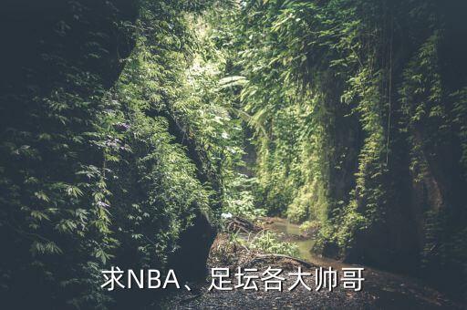 求NBA、足壇各大帥哥