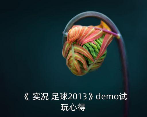 《 實(shí)況 足球2013》demo試玩心得