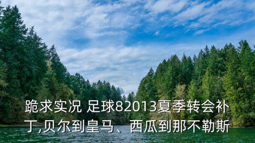 跪求實(shí)況 足球82013夏季轉(zhuǎn)會補(bǔ)丁,貝爾到皇馬、西瓜到那不勒斯