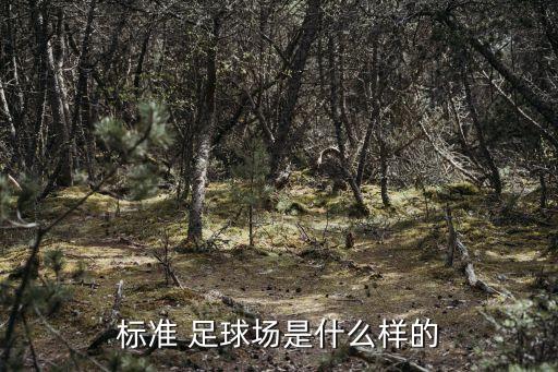 足球場(chǎng)場(chǎng)空?qǐng)?足球空?qǐng)鍪鞘裁匆馑?