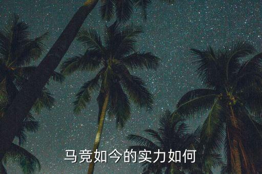 馬競(jìng)足球隊(duì)球員,德國(guó)足球隊(duì)最有名的球員