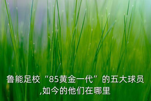 魯能足校“85黃金一代”的五大球員,如今的他們在哪里