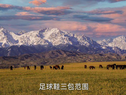 足球鞋冬天會(huì)斷,AG足球鞋防止斷釘?shù)姆椒?/></a></span><span id=