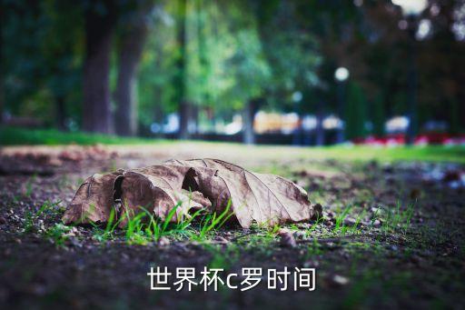 世界杯c羅時間