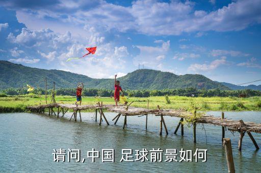 中國足球產業(yè)與文化發(fā)展報告