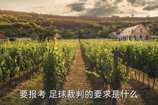 足球裁判員申請(qǐng)書,裁判員申請(qǐng)書個(gè)人簡歷怎么寫