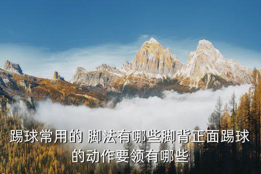 踢球常用的 腳法有哪些腳背正面踢球的動作要領有哪些