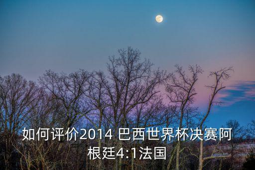 如何評價(jià)2014 巴西世界杯決賽阿根廷4:1法國
