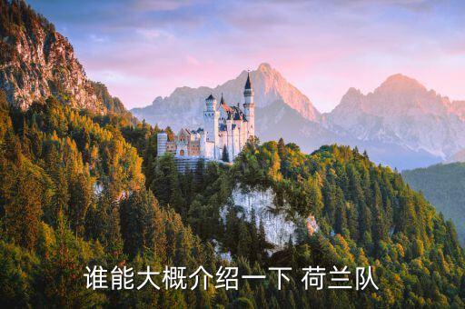 誰能大概介紹一下 荷蘭隊(duì)