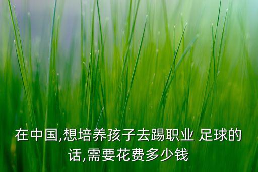在中國,想培養(yǎng)孩子去踢職業(yè) 足球的話,需要花費多少錢