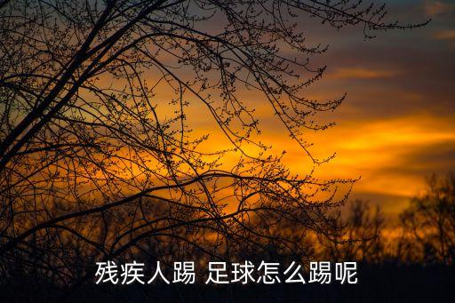 殘疾人踢 足球怎么踢呢