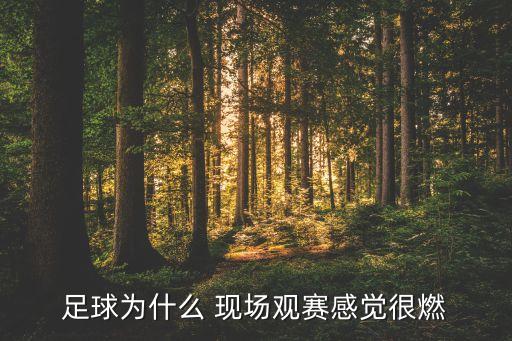 足球?yàn)槭裁?現(xiàn)場(chǎng)觀賽感覺很燃