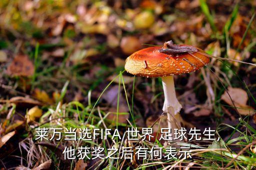 萊萬當選FIFA 世界 足球先生,他獲獎之后有何表示