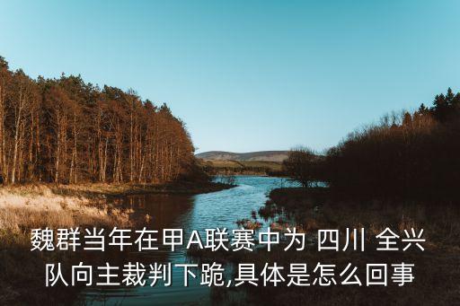 魏群當年在甲A聯賽中為 四川 全興隊向主裁判下跪,具體是怎么回事