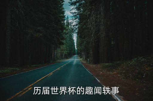 歷屆世界杯的趣聞軼事