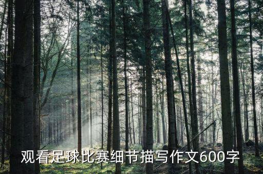 現(xiàn)場看足球賽