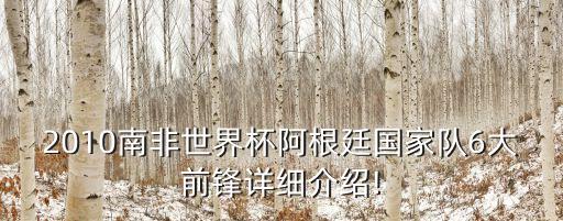2010南非世界杯阿根廷國家隊6大前鋒詳細介紹!