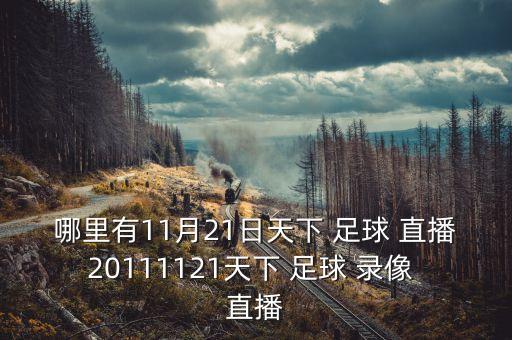 哪里有11月21日天下 足球 直播20111121天下 足球 錄像 直播