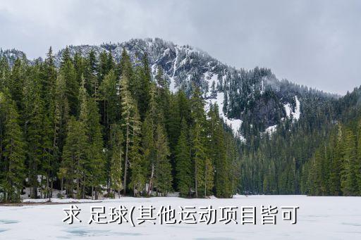 求 足球(其他運(yùn)動項(xiàng)目皆可