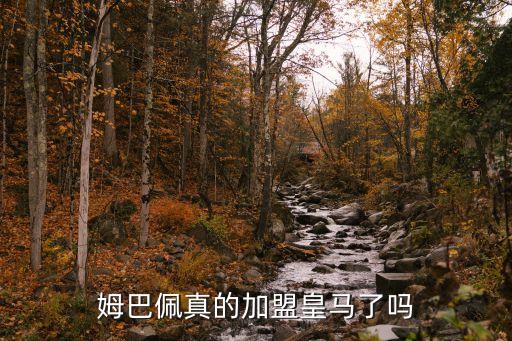 法國足球勒馬爾,法國和巴西足球誰厲害
