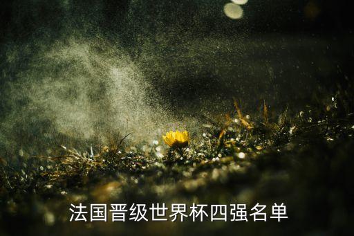法國(guó)國(guó)家足球隊(duì) 2014年,法國(guó)足球隊(duì)2014陣容