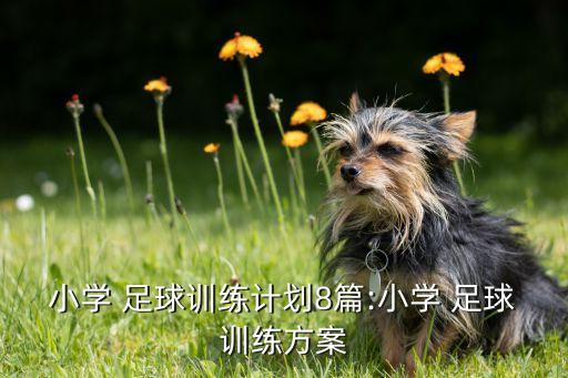 小學 足球訓練計劃8篇:小學 足球訓練方案
