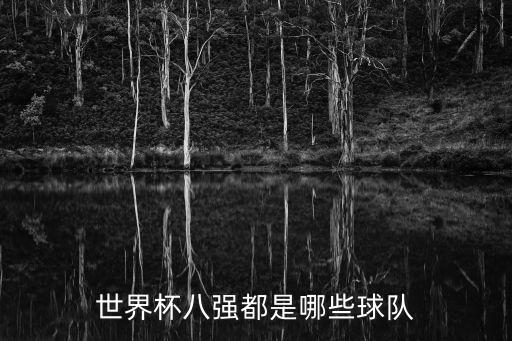 俄羅斯 瑞典 足球隊,瑞典國家足球隊世界排名