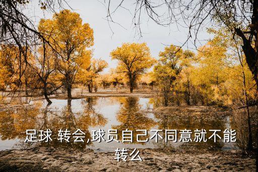 足球轉(zhuǎn)會(huì)禁止,2022足球轉(zhuǎn)會(huì)