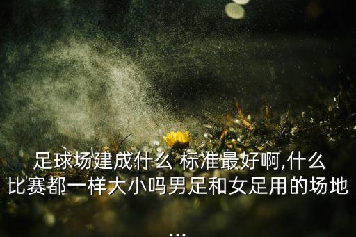 賽事足球場(chǎng)建設(shè)標(biāo)準(zhǔn),11人標(biāo)準(zhǔn)足球場(chǎng)建設(shè)需要多少錢