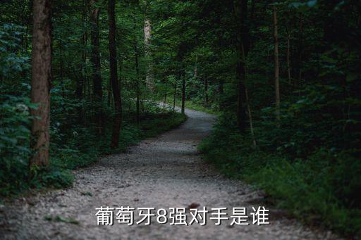 世界杯足球現(xiàn)場(chǎng)比賽摩洛哥對(duì)葡萄牙,足球世界杯2022年摩洛哥比賽