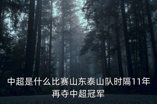 中超是什么比賽山東泰山隊(duì)時(shí)隔11年再奪中超冠軍