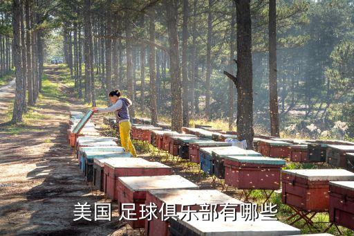 美國(guó) 足球俱樂(lè)部有哪些